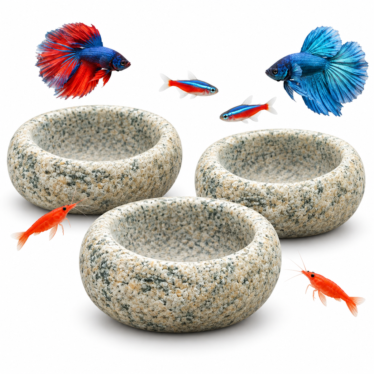 Natural Stone Aquarium Shrimp Feeding Bowl with Cave