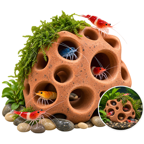 Terracotta Shrimp Cave – Hideout & Breeding Shelter
