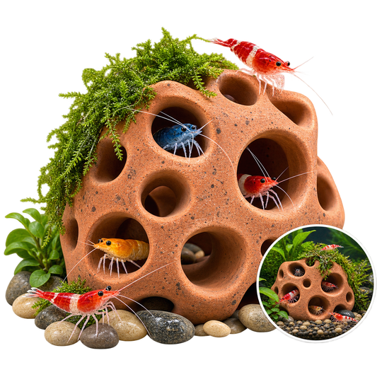 Terracotta Shrimp Cave – Hideout & Breeding Shelter