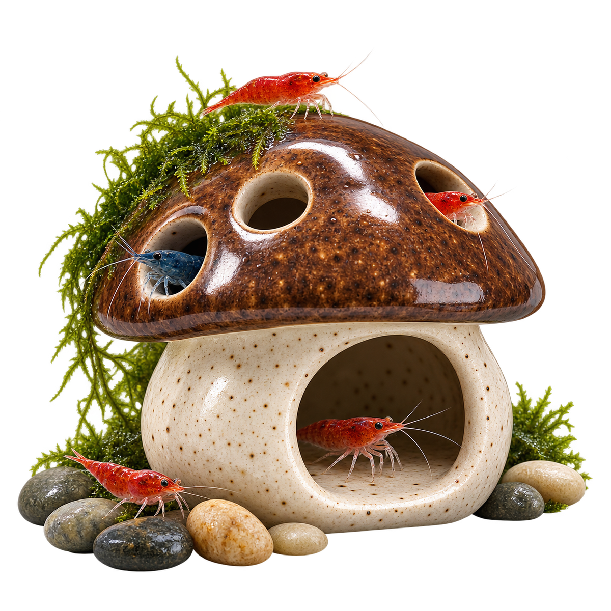 Ceramic Shrimp Cave for Aquarium