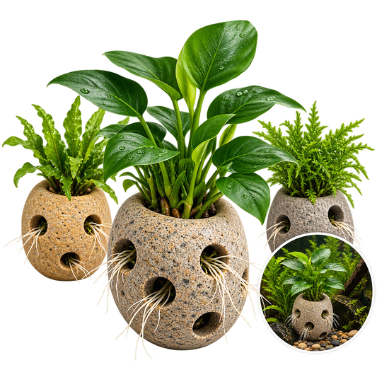 Natural Stone Aquarium Plant Holder