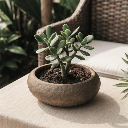 Handmade Stone Planter – natural stone planter or floral display – product detail