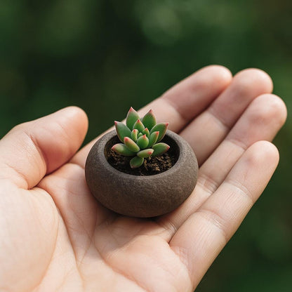 Handmade River Stone Mini Planter – natural stone planter or floral display – product detail