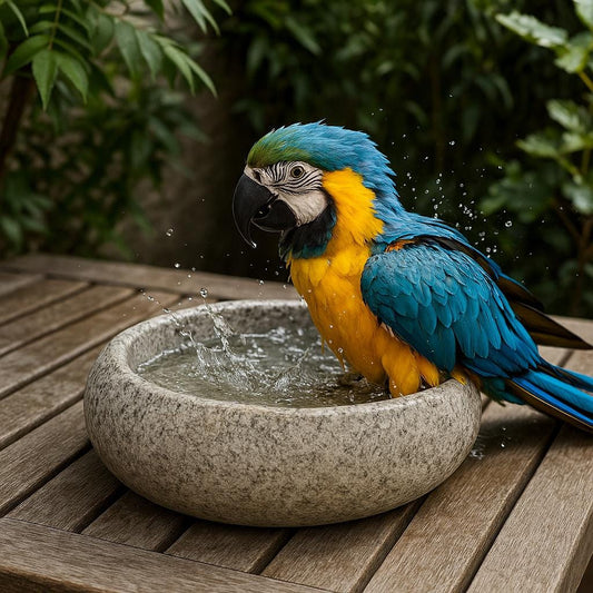 Natural Stone Parrot Bath Bowl – natural stone bird and wildlife accessory – alternate product view
