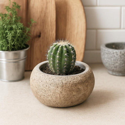 Handmade Stone Planter – natural stone planter or floral display – alternate view