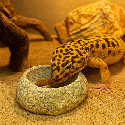 Leopard Gecko Stone Feeding Bowl – natural stone terrarium accessory – alternate angle