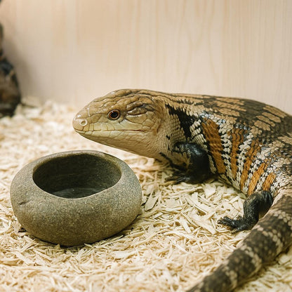 Natural Stone Blue Tongue Skink Bowl – natural stone terrarium accessory – product detail