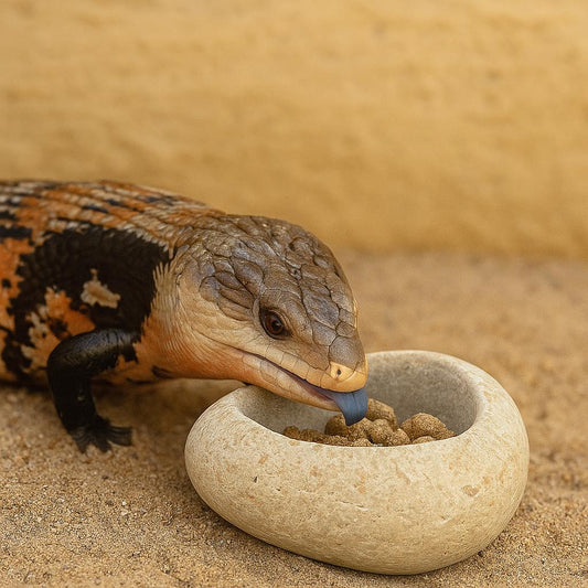 Natural Stone Blue Tongue Skink Bowl – natural stone terrarium accessory – primary product view