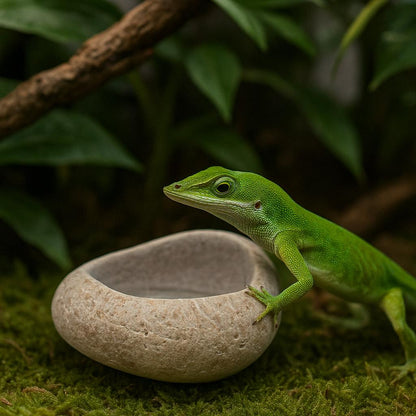 Natural Stone Reptile Bowl For Anoles – natural stone terrarium accessory – alternate view