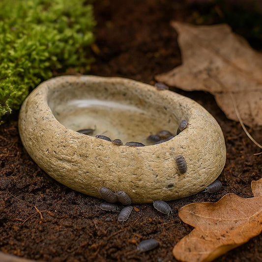 Natural Stone Invertebrate Water Dish For Terrarium — Tarantula – natural stone terrarium accessory – alternate product view