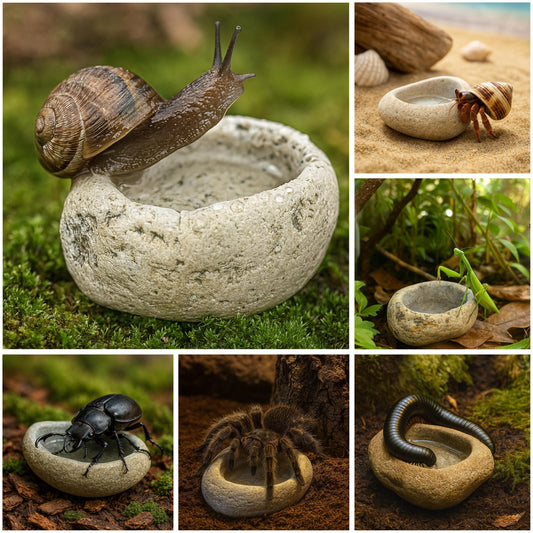 Natural Stone Invertebrate Water Dish For Terrarium — Tarantula – natural stone terrarium accessory – primary product view
