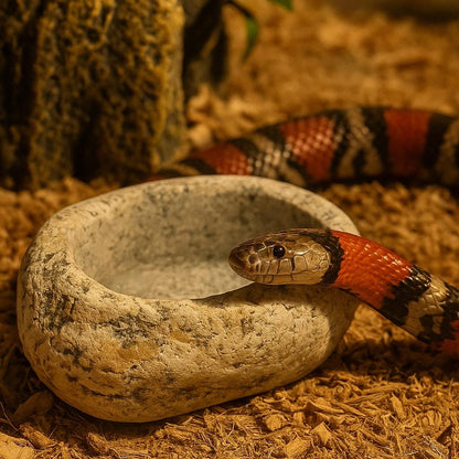 Natural Stone Water Bowl For King Snake / Milk Snake — Terrarium – natural stone terrarium accessory – product detail