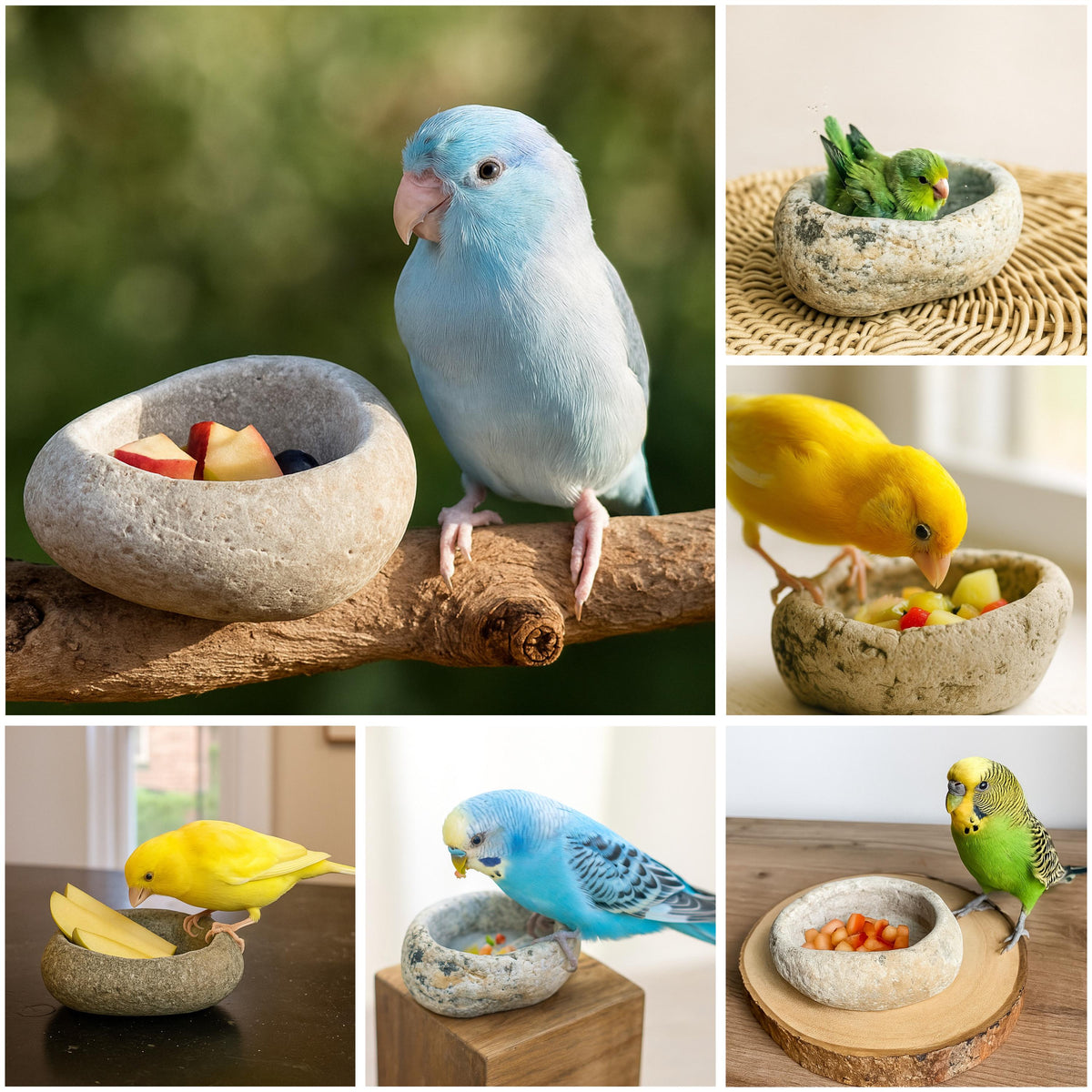 Natural Stone Bird Bath & Fruit Dish For Small Birds – natural stone bird and wildlife accessory – primary product view
