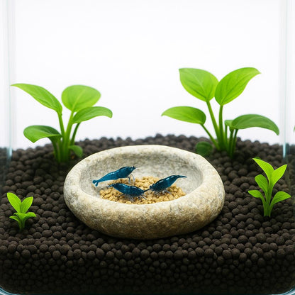 Aquarium Shrimp Feeding Bowl – natural stone aquarium accessory – alternate view