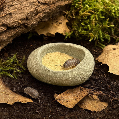 Isopod Calcium Dish – natural stone terrarium accessory – product detail