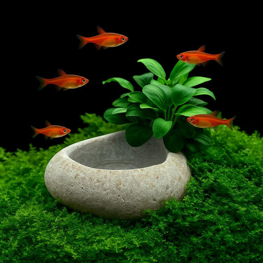 Nano Fish Natural River Stone Decor Bowl – natural stone aquarium accessory – primary product view