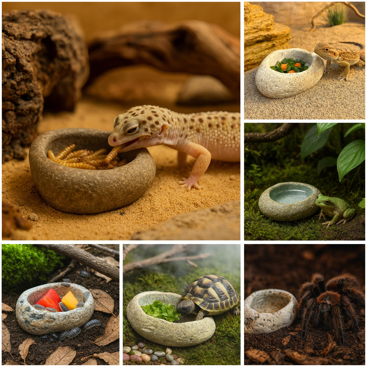 Natural Stone Reptile Feeding Bowl – natural stone terrarium accessory – primary product view