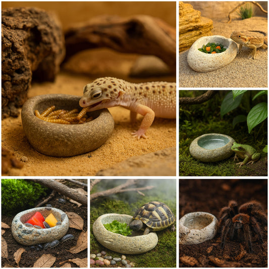 Natural Stone Reptile Feeding Bowl – natural stone terrarium accessory – primary product view