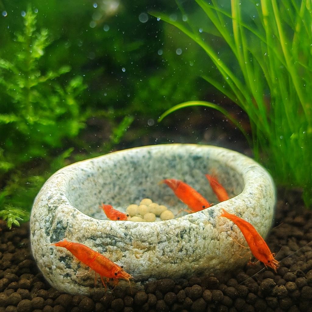 Aquarium Shrimp Cave Feeding Bowl – natural stone aquarium accessory – alternate angle