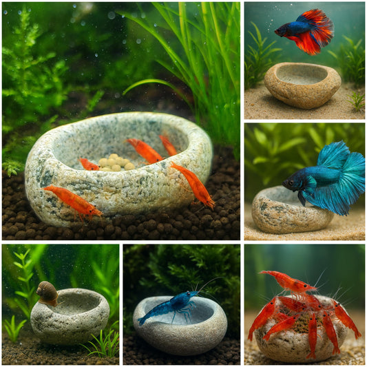 Aquarium Shrimp Cave Feeding Bowl – natural stone aquarium accessory – primary product view