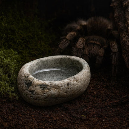 Natural Stone Insect & Tarantula Water Dish – natural stone terrarium accessory – alternate view