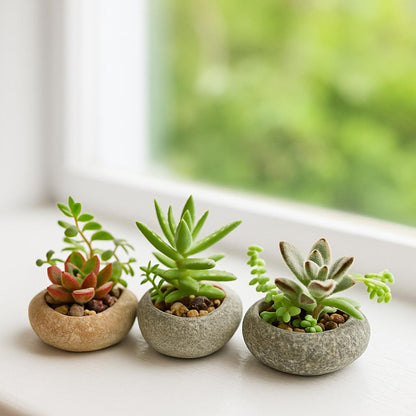 Succulent Planter – natural stone planter or floral display – product detail