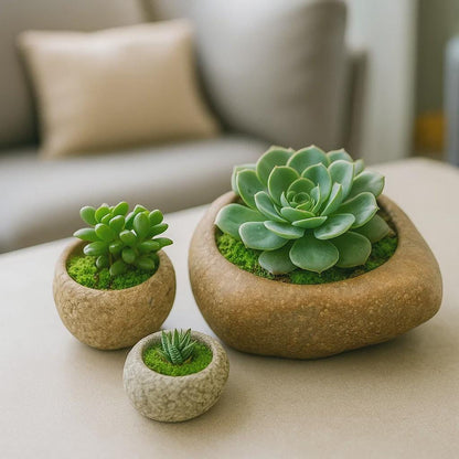 Natural Stone Planter Set – natural stone planter or floral display – primary product view