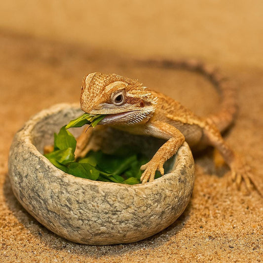 Natural Stone Bearded Dragon Bowl – natural stone terrarium accessory – alternate product view