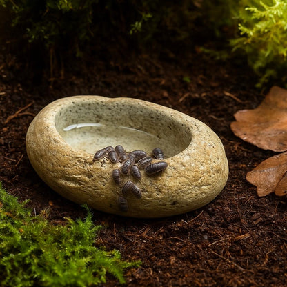 Natural Stone Invertebrate Water Dish For Terrarium — Tarantula – natural stone terrarium accessory – alternate angle