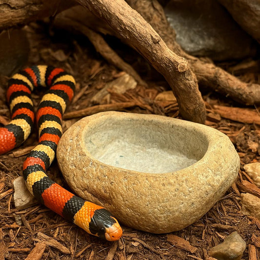 Natural Stone Water Bowl For King Snake / Milk Snake — Terrarium – natural stone terrarium accessory – alternate product view