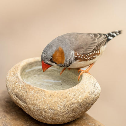 Natural Stone Bird Bath & Fruit Dish For Small Birds – natural stone bird and wildlife accessory – product detail