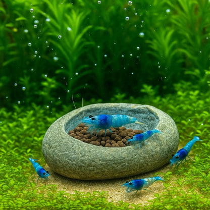Aquarium Shrimp Feeding Bowl – natural stone aquarium accessory – product detail