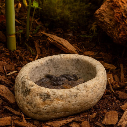 Isopod Calcium Dish – natural stone terrarium accessory – product detail