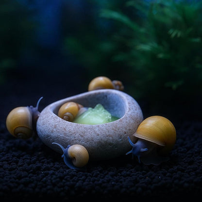 Snail Feeding Stone Bowl – natural stone aquarium accessory – alternate view