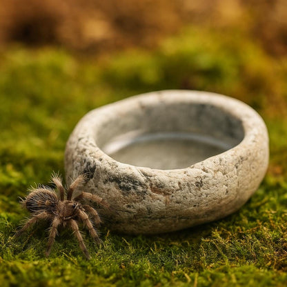 Natural Stone Baby Tarantula Water Dish – natural stone terrarium accessory – detail view