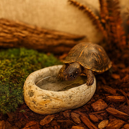 Baby Box Turtle Feeding & Water Dish – natural stone terrarium accessory – product detail