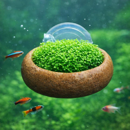 Natural Stone Aquarium Plant Holder - Suction Cup – natural stone aquarium accessory – alternate view