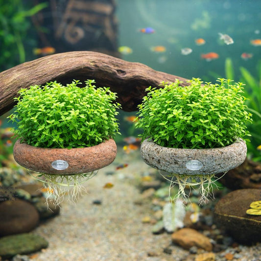 Natural Stone Aquarium Wall Planter – natural stone aquarium accessory – alternate product view