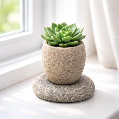 Succulent Planter — Natural River Stone Desk Pot With Base – natural stone planter or floral display – detail view