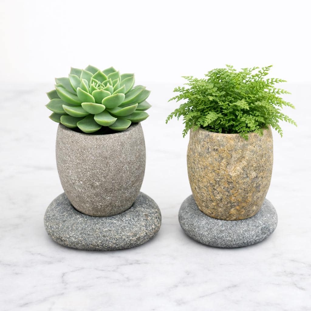 Succulent Planter — Natural River Stone Desk Pot With Base – natural stone planter or floral display – alternate view