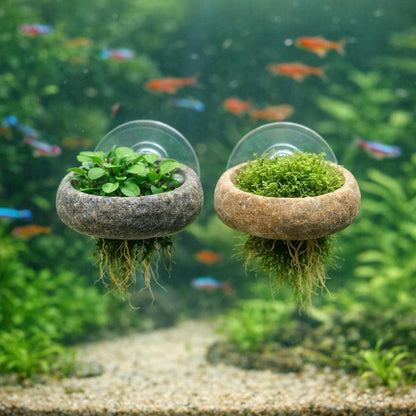 Aquarium Stone Plant Anchor With Suction Cup – natural stone aquarium accessory – detail view