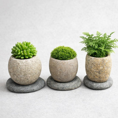 Succulent Planter — Natural River Stone Desk Pot With Base – natural stone planter or floral display – product detail