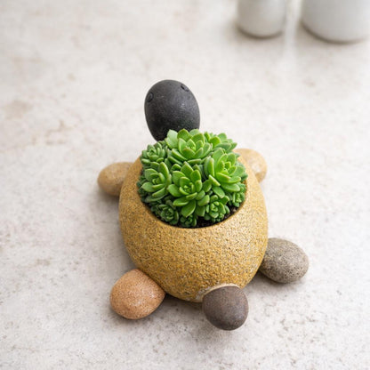 Sea Turtle Planter — Natural Stone Animal Succulent Pot – natural stone planter or floral display – alternate view