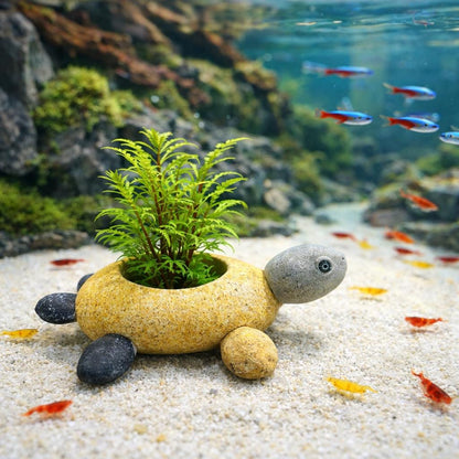 Aquarium Decor Turtle Planter – natural stone aquarium accessory – primary product view