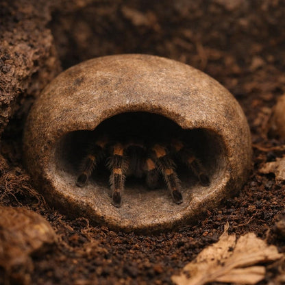 Tarantula Hide Natural Stone Cave Small Spider Hide Terrarium – natural stone terrarium accessory – alternate angle