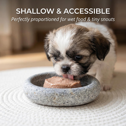 Dog Treat Bowl - Natural Stone Puppy Snack Bowl For Training – natural stone bird and wildlife accessory – product detail