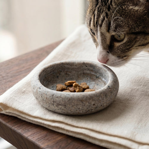 Tiny Cat Bowls - Natural Stone Dish For Freeze Dried Treats – natural stone bird and wildlife accessory – primary product vie