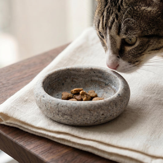 Tiny Cat Bowls - Natural Stone Dish For Freeze Dried Treats – natural stone bird and wildlife accessory – primary product vie