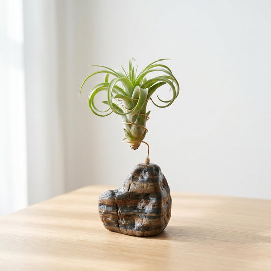 Natural Stone Air Plant Holder: Tillandsia Wire Display Stand – natural stone planter or floral display – primary product vie