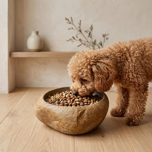 No Spill Dog Food Bowl – natural stone bird and wildlife accessory – primary product view